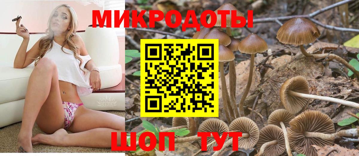 Галлюциногенные грибы GOLDEN TEACHER Рославль